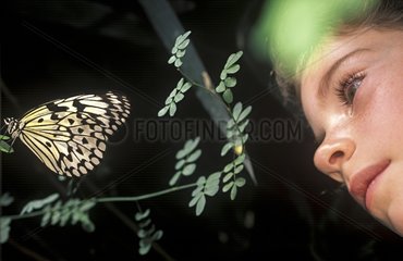 Kind beobachtet einen Schmetterling in einer Schweiz in der Bauernhof