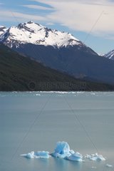 Blick auf den Perito Moreno Patagonia Argentinien Gletscher
