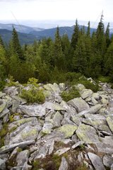 Steinhaufen in den Waldkarken Rumänien