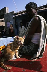 Mann  die auf der StraÃŸe mit einem Tabby Red Cat Mysore Indien sitzen