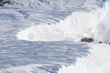 Snow drifts on a ravine in the Alps