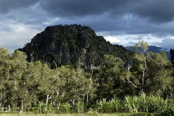 Karst relief of the Vallee des Roches New Caledonia