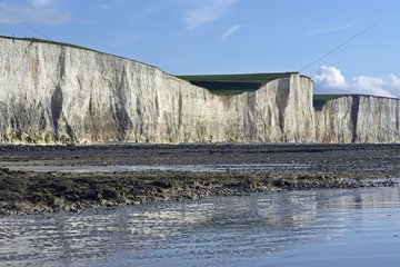 Chalk cliffs to the south Hault BIAE Somme in Picardy  low tide