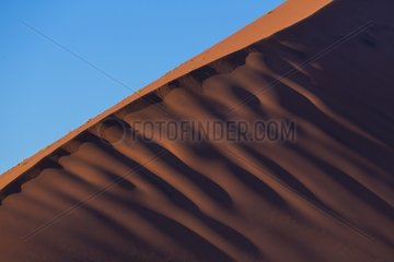 Sand Dunes  Namib Naukluft National Park  Namibia  Africa