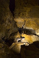 Arrikrutz cave  Oñati  Gipuzkoa  The Basque Country  Spain  Europe