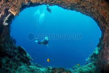Coral reef  Cebu Island  Philippines