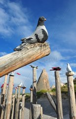 Turkey. Cappadocia. Uchisar. Sculpture of pigeons in the Pigeons Valley  named after the numerous troglodyte dovecots made on its fairychimneys.