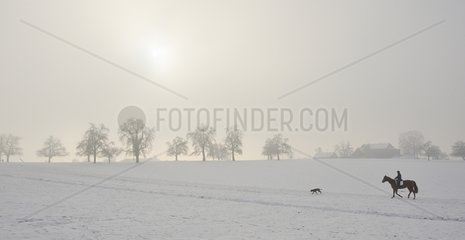 Rider taking a promenade in the snowy countryside Ottenbach