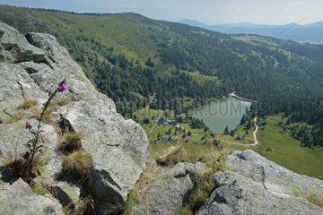 Peak von Gazon du Faing und Lake -Forling Vosges France