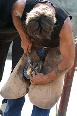 Installation of a horseshoe with a mobile farrier