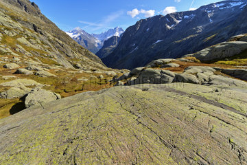 Glacial striations on gneiss - Alpes France