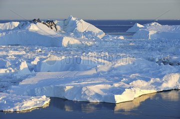 Denmark. Greenland. West coast. The fjord full of icebergs coming from the glaciar of Ilulissat.