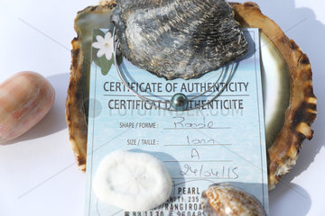 Jewelry with black pearl of Tahiti and certificate of authenticity