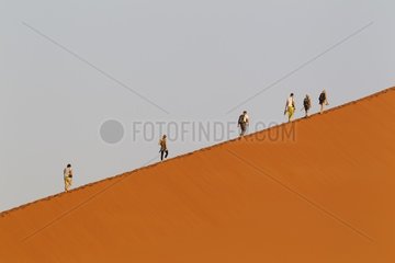 Tourist climbing Dune 45 in the Namib Desert. This is probably the worlds most photographed and climbed dune. In the evening. Namib-Naukluft National Park  Namibia.