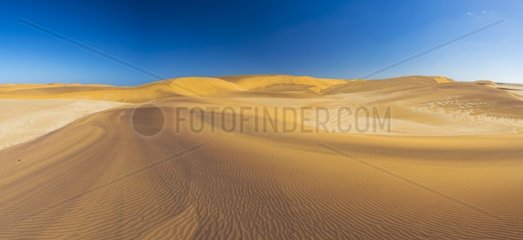 Sand dunes in Swakopmund  Namibia  Africa