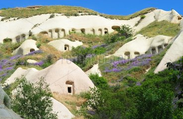 Turkey. Cappadocia. Uchisar. Near the village of Uchisar  the Pigeons Valley is name after the numerous troglodyte dovecots made on its fairychimneys.