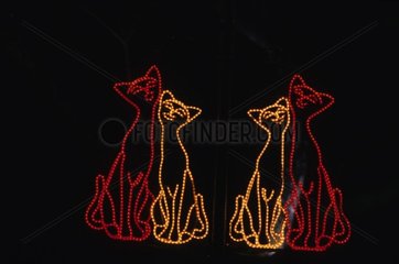 Décorations lumineuses représentant des chats à Kuching