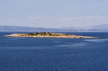 Ilot de Mljet en mer Adriqtique Croatie