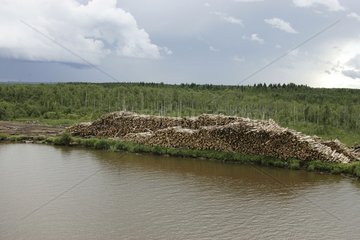 Wood drying at the edge of the Kovja near Lake Onéga