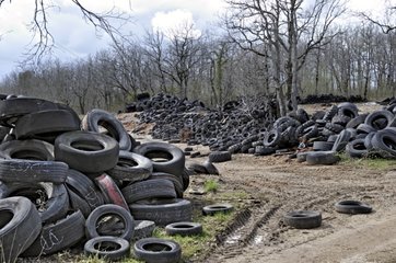 Verlassener Bestand an Reifen im Wald Frankreich