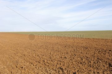 Ploughed field and blue sky St-Valery-en-Caux France