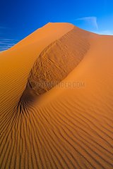 Sand Dunes  Namib Naukluft National Park  Namibia  Africa
