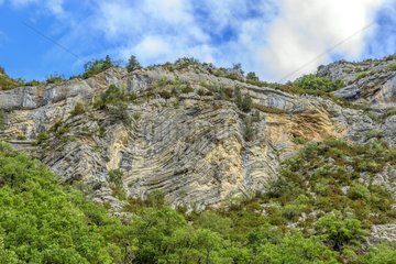 Tortured folds in the limestone of the Gorges of the Meouge  Biological Reserve and remarkable site north of Sisteron  Haute-Provence Alps  France
