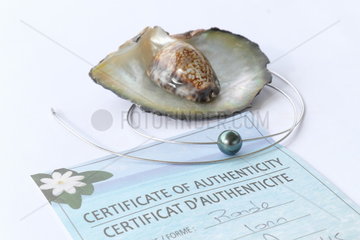 Jewelry with black pearl of Tahiti and certificate of authenticity