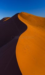 Namib-Naukluft National Park  Namibia  Africa