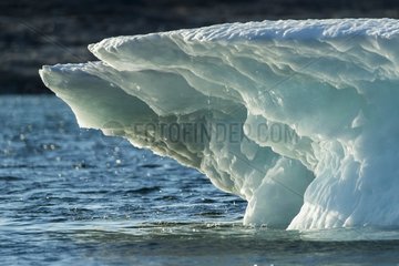 Summer sun light melting iceberg in Wager Bay  Ukkusiksalik National Park  Nunavut Territory  Canada