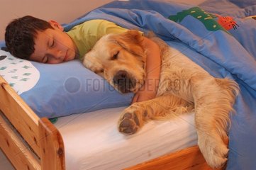 Enfant et golden retriever endormis dans un lit