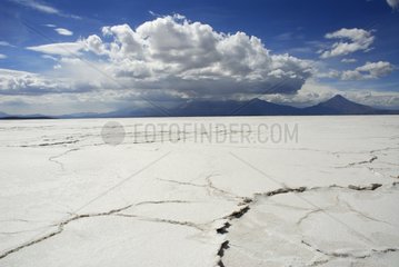 Island Salar Uyuni Altiplano Bolivien