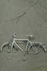Altes Fahrrad in das Wasser des Scheldt in Antwerpen Belgien