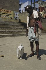 Hund  der neben einem Mann Uttar Pradesh Indien geht
