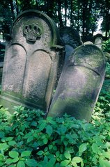 Cracovie  tombes au cimetière juif de Kazimierz