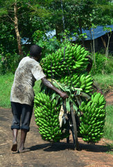 Bike charged for Bananas on a track - Uganda