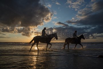 Riders and horses in water at dusk