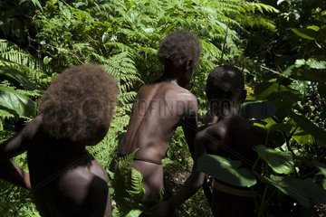 Boy opening a path in the forest - Tanna Vanuatu