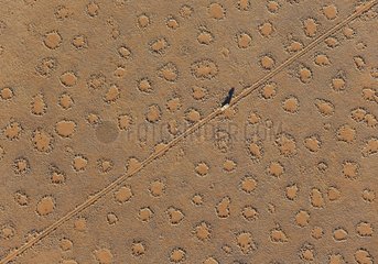 A vehicle of the balloon ground crew tries to follow the flight direction of the hot-air balloon  crossing a sandy plain at the edge of the Namib Desert. The so-called 'Fairy Circles' are circular patches without any vegetation which according to recent s