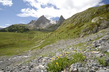 Vallon du Chardonnet - High Clarée Alpes France