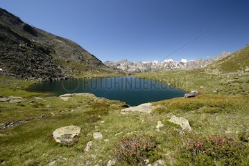 Lake Snake - High Clarée Alpes France