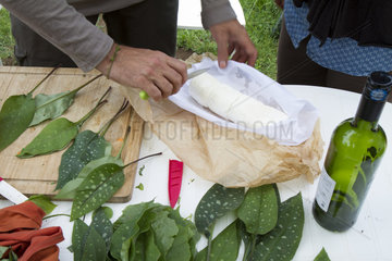 Preparation of Lungwort 's leaves fritters - Auvergne France