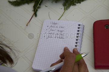 Taking notes during stage wild edible plants France