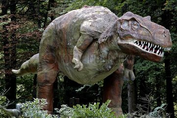 Tyrannosaure du Crétacé supérieur France