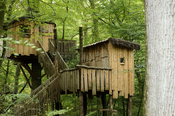 Wooden tree houses - France