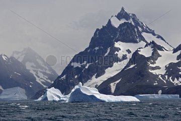 Eisberge im Trockengalki Fjord South Georgia