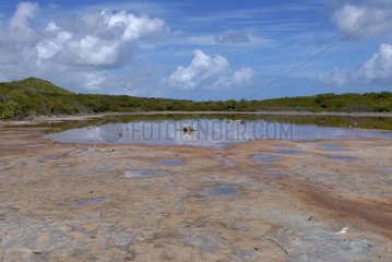 Petite Saline Pointe des Chateaux Grande Terre Guadeloupe