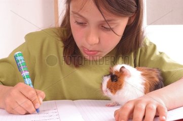Fillette faisant ses devoirs avec son cochon d'Inde