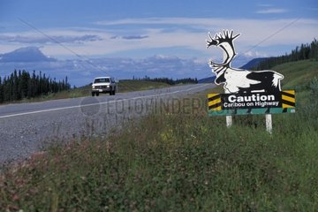 Panel preventing of the crossing of Caribous on the road