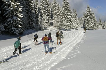 Bond-Skifahrer im Haut-Jura-Frankreich-Regionalpark